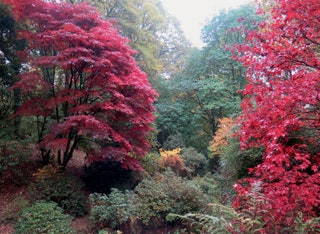 Hergest Croft Gardens Herefordshire  Set in the Welsh Marches with views of the Malvern Hills Hergest Croft is a...