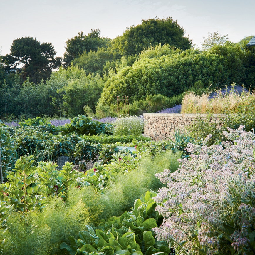 What is a self-sufficiency garden and why should you plan your own?