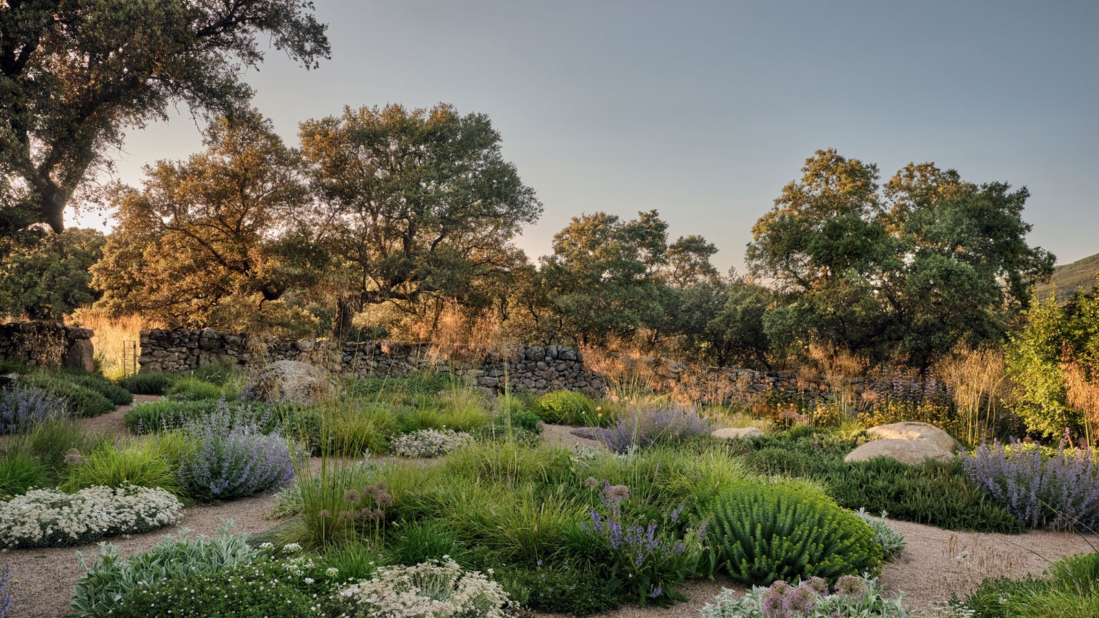 How to create a pollution-absorbing garden