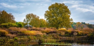 Millennium Garden Pensthorpe Natural Park Norfolk  Planted by Piet Oudolf 21 years ago the Millennium Garden at...
