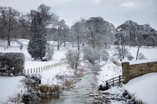 Image may contain Nature Outdoors Snow Tree Plant Fir Abies Housing Building Winter and Ice