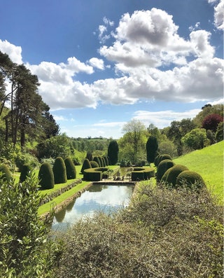 Image may contain Outdoors Plant Hedge Fence and Grass