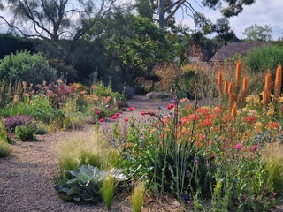 Beth Chatto Gardens Essex  The wonderful gardens of legendary plantswoman Beth Chatto continue to draw the crowds. The...
