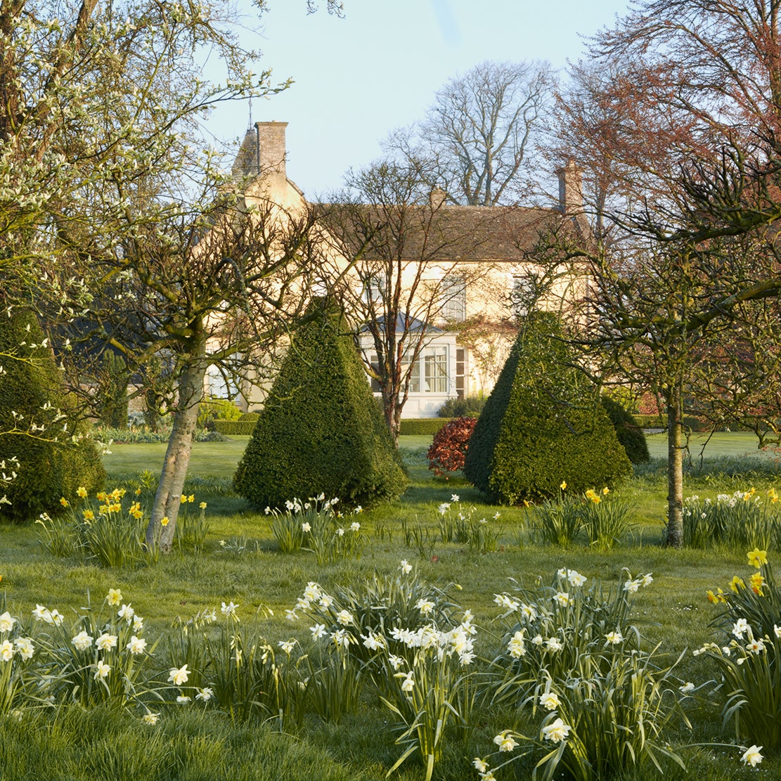 A Cotswold garden brimful of unusual and uplifting spring flowers